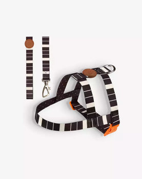 Conjunto Peitoral Tradicional e Guia Eclipse